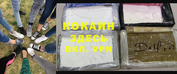 тгк Аркадак