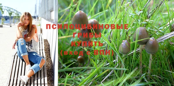 дживик Арсеньев