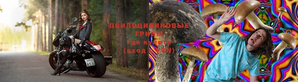 дживик Арсеньев